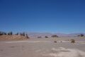 13desert014